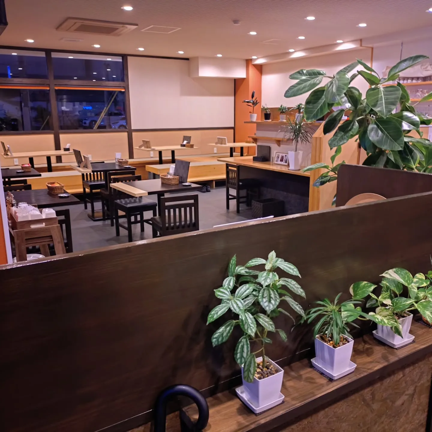 こんばんは、Favorito(ファボリート)です。