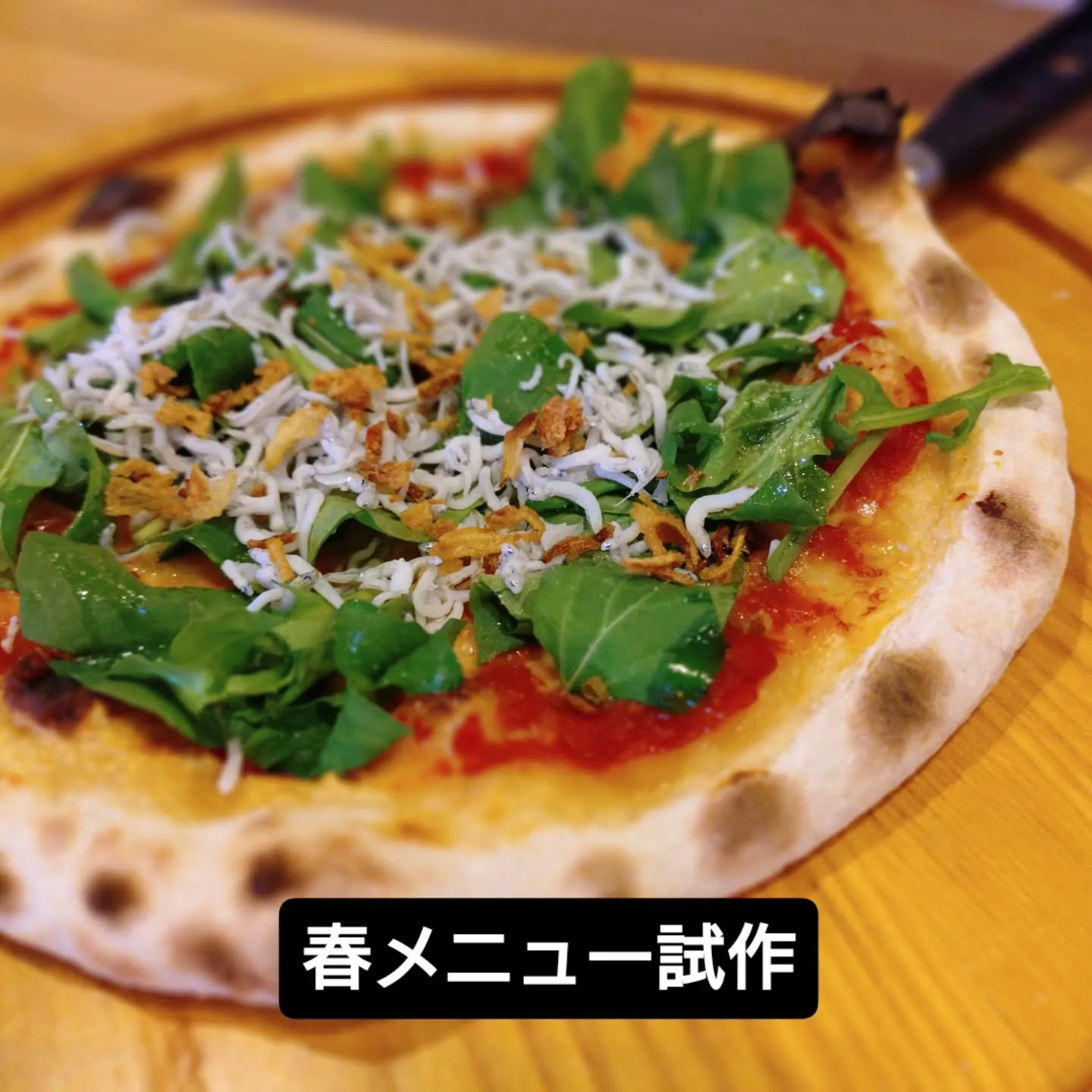 こんばんはFavorito(ファボリート)です。